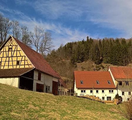 Willa Muehlenchalet Gundershofen Zewnętrze zdjęcie